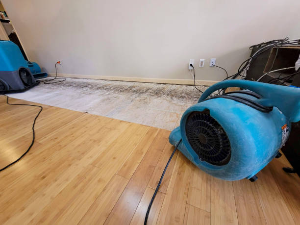 Professional Structural Drying technician working in Dorchester Center, MA